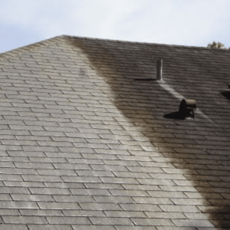 Roof Cleaning Company in Chicago, IL